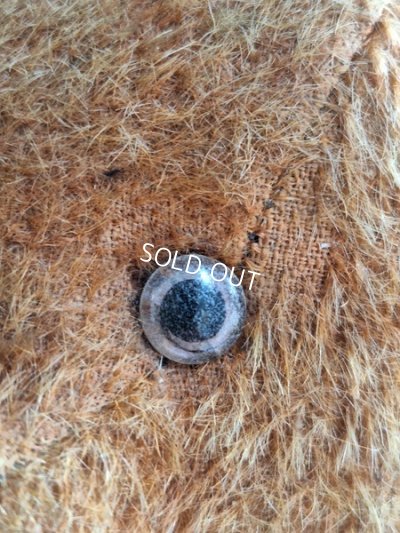 画像6: アンティークフレンチテディベア