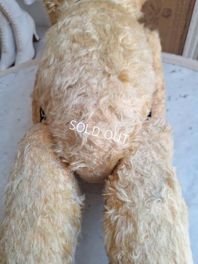 画像11: アンティークJPMテディベア