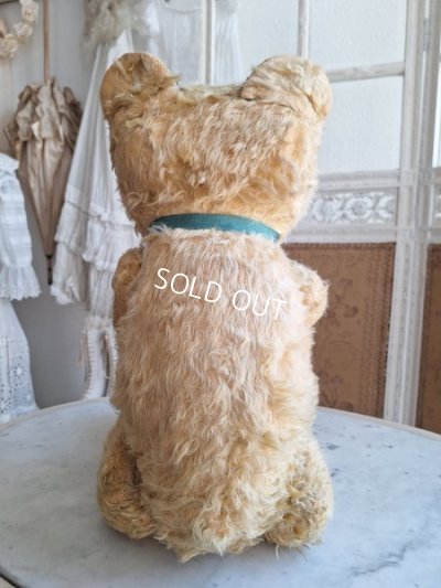 画像5: アンティークJPMテディベア