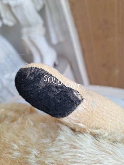 画像18: アンティークJPMテディベア