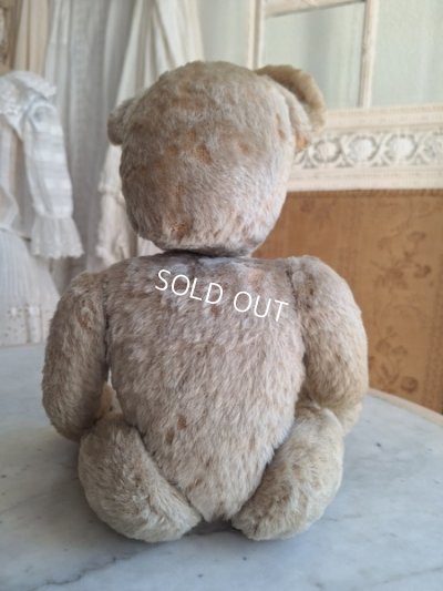 画像10: アンティークテディベア