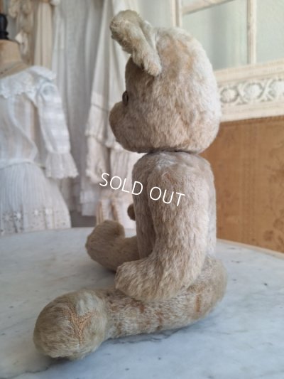 画像11: アンティークテディベア