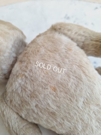 画像15: アンティークテディベア