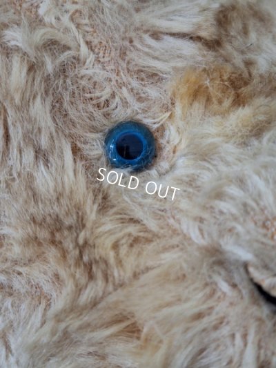 画像3: JPMアンティークテディベア