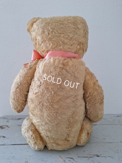 画像8: JPMアンティークテディベア