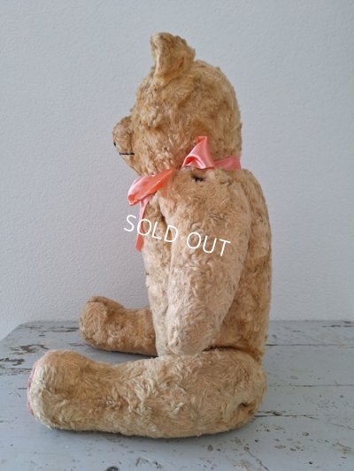 画像9: JPMアンティークテディベア