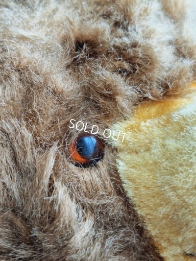 画像4: アンティークフレンチテディベア