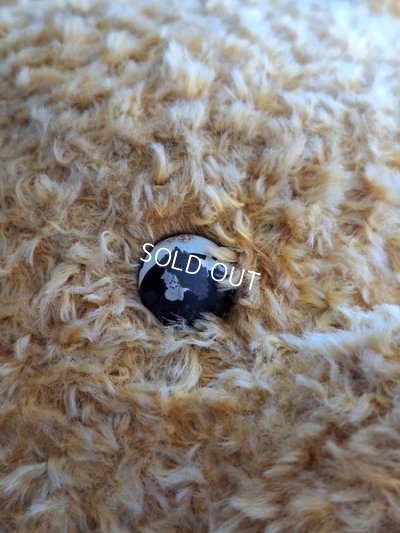 画像7: アンティークテディベア