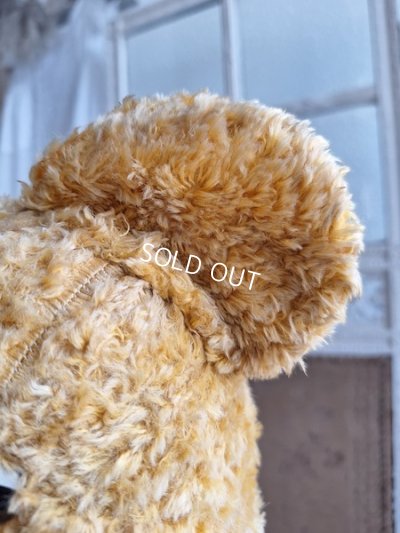 画像8: アンティークテディベア