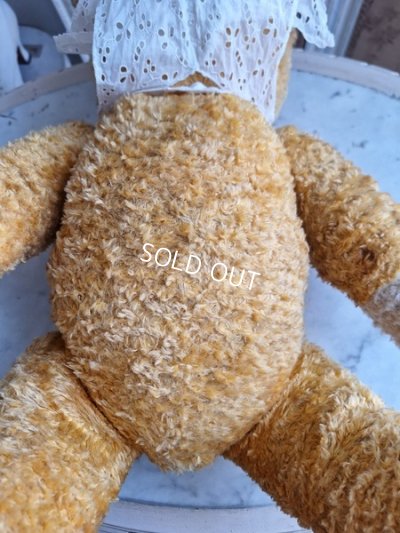 画像9: アンティークテディベア