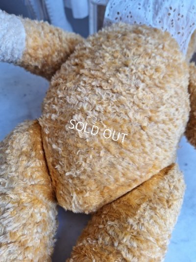 画像18: アンティークテディベア