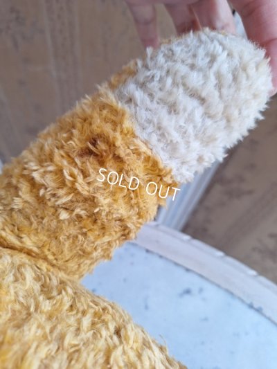 画像19: アンティークテディベア