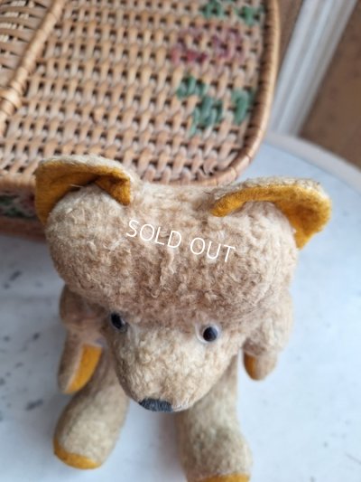 画像9: アンティークJPMテディベア