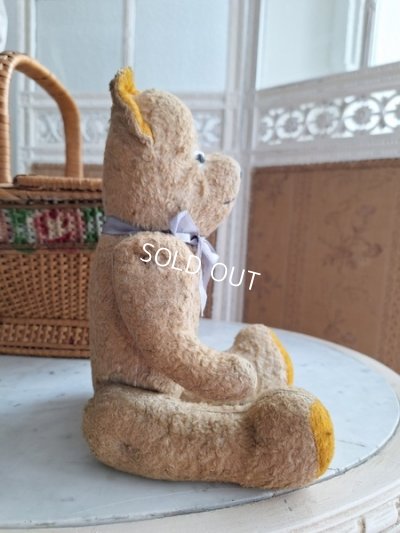 画像13: アンティークJPMテディベア