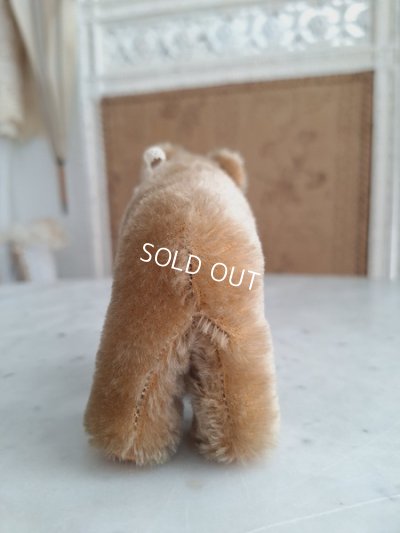 画像9: シュタイフ四肢立のミニベア