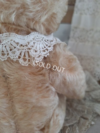 画像4: アンティークシュタイフテディベア