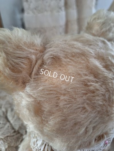 画像10: アンティークシュタイフテディベア