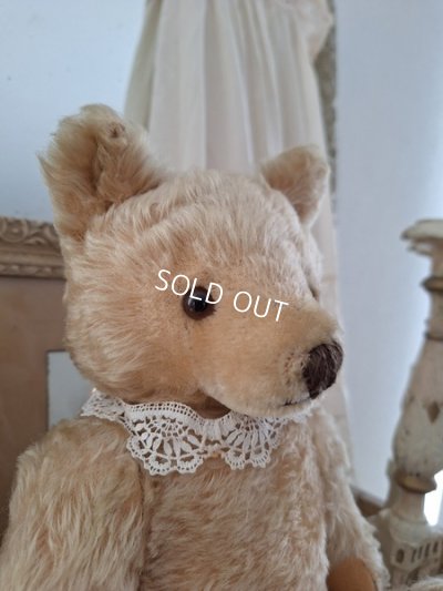 画像3: アンティークシュタイフテディベア