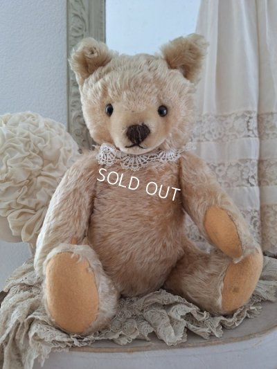 画像12: アンティークシュタイフテディベア