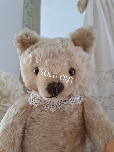 画像2: アンティークシュタイフテディベア