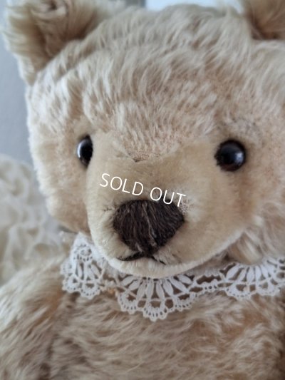 画像13: アンティークシュタイフテディベア