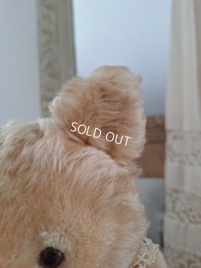 画像15: アンティークシュタイフテディベア