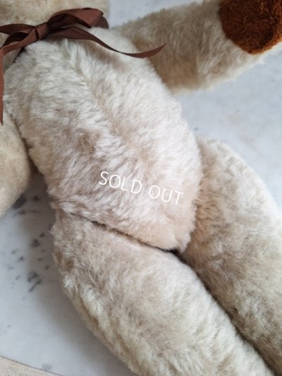 画像9: アンティークテディベア