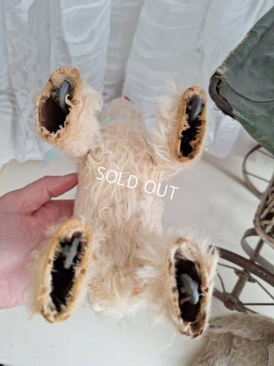 画像11: アンティーク車輪付きワンちゃん