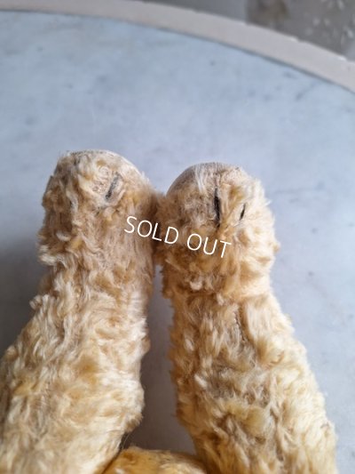 画像11: アンティークテディベア