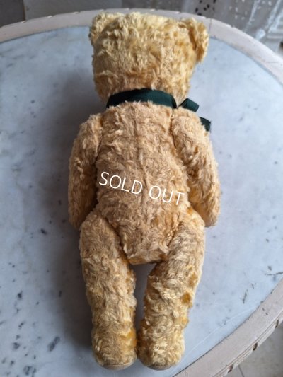 画像13: アンティークテディベア