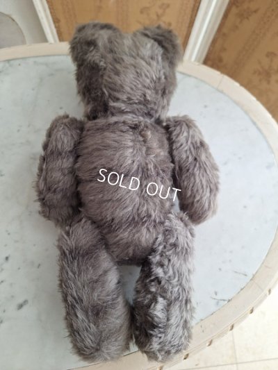 画像9: JPMタビーキャット