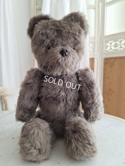 画像11: JPMタビーキャット