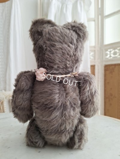 画像13: JPMタビーキャット