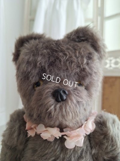 画像2: JPMタビーキャット