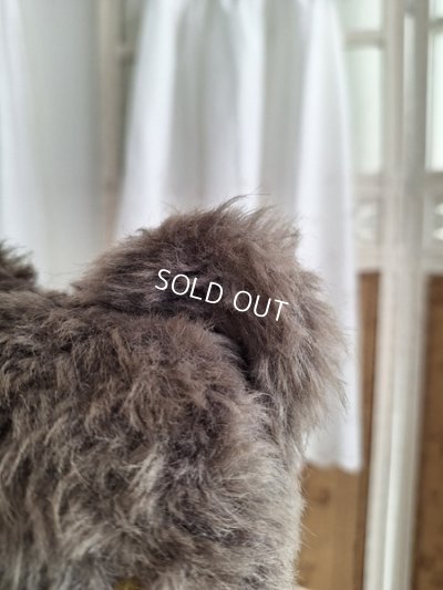 画像15: JPMタビーキャット