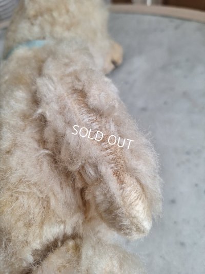 画像9: アンティークテディベア