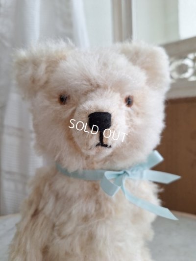 画像2: アンティークテディベア