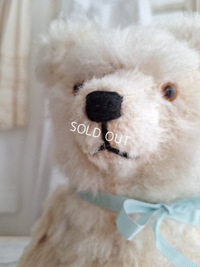 画像4: アンティークテディベア