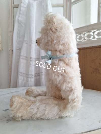 画像13: アンティークテディベア