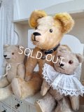 アンテークテディベア