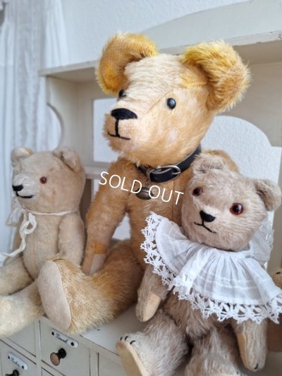 画像1: アンテークテディベア