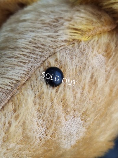 画像4: アンテークテディベア