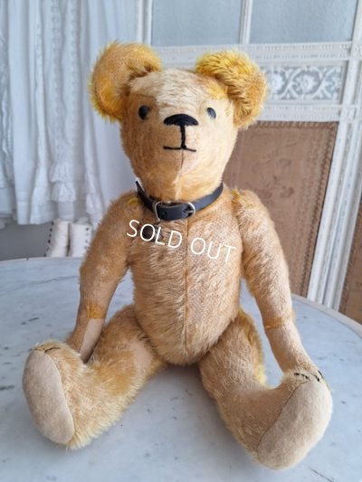 画像13: アンテークテディベア