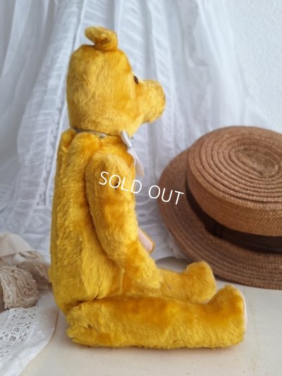 画像13: アンティークテディベア