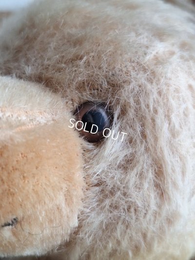 画像5: アンティークハーマンテディベア