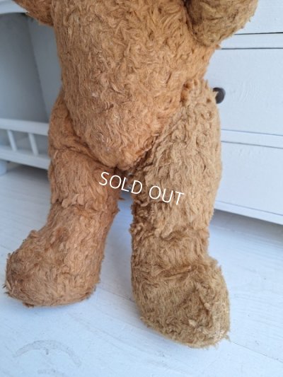 画像15: JPMテディベア