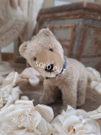 vintagesteiffbear