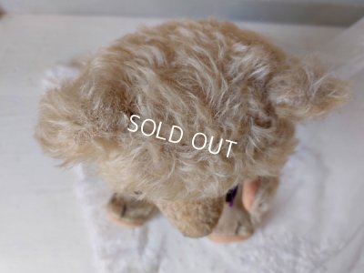 画像9: アンティークホワイトテディベア