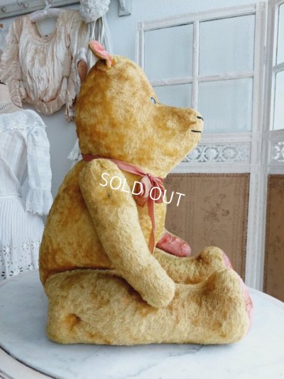 画像6: JPMフレンチテディベア