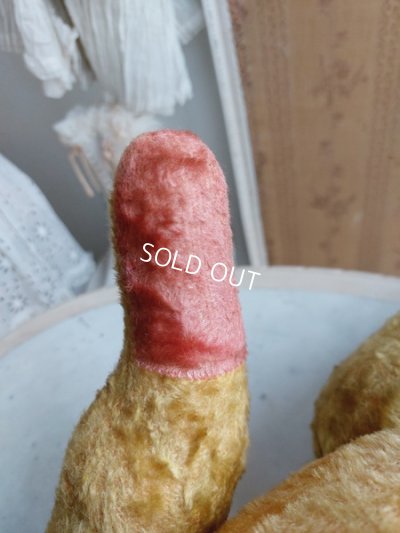 画像21: JPMフレンチテディベア